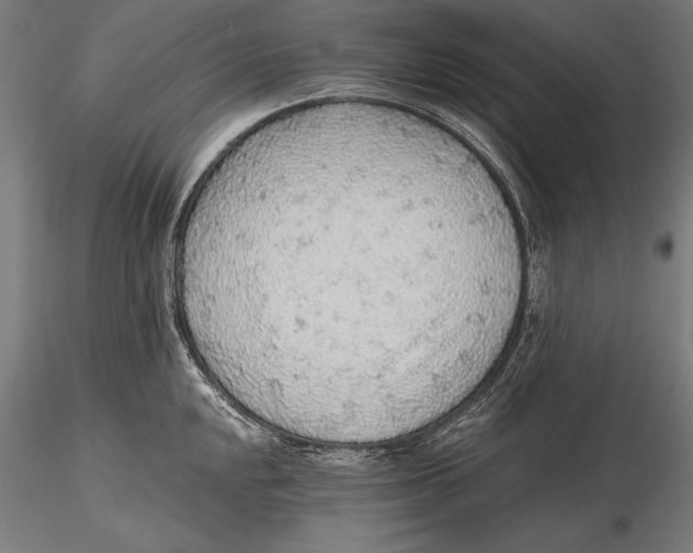 X0000115481048200912040948