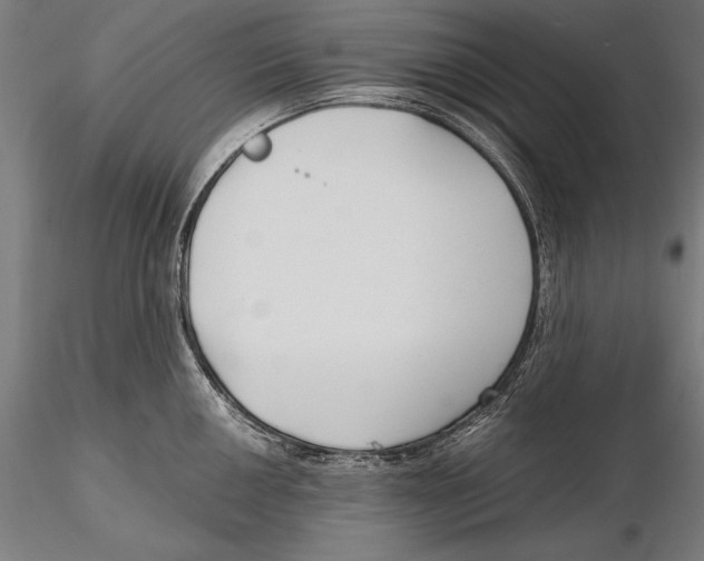 X0000115481050200912040948