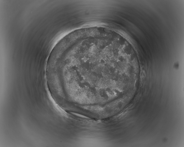 X0000115481055200912040948