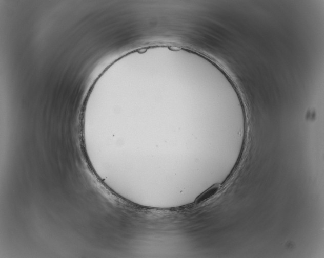 X0000115481056200912040948