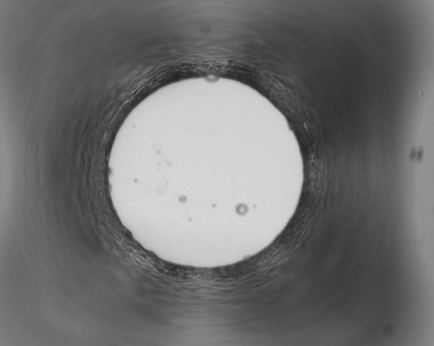 X0000115481057200912040947