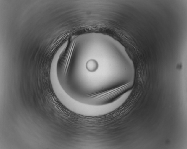 X0000115481060200912040947