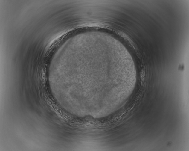 X0000115481064200912040947