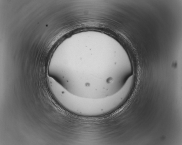 X0000115481065200912040947