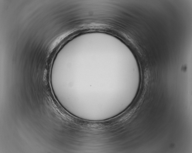 X0000115481066200912040947