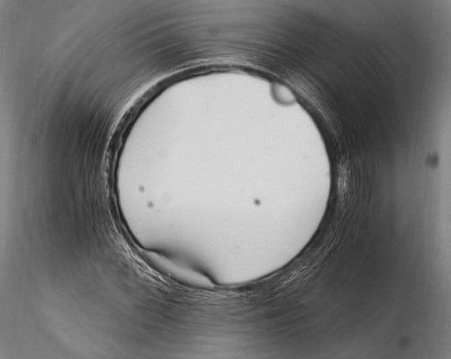 X0000115481068200912040947