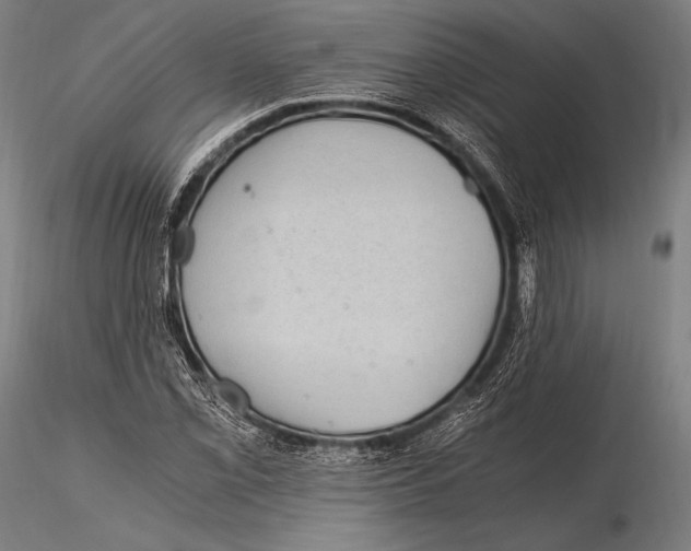 X0000115481069200912040947