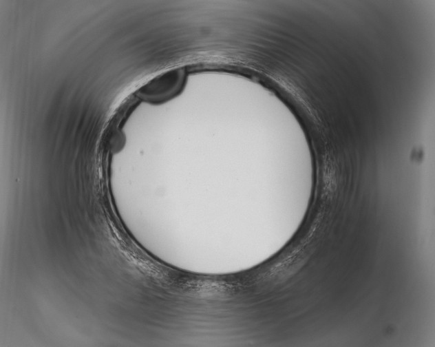 X0000115481070200912040947