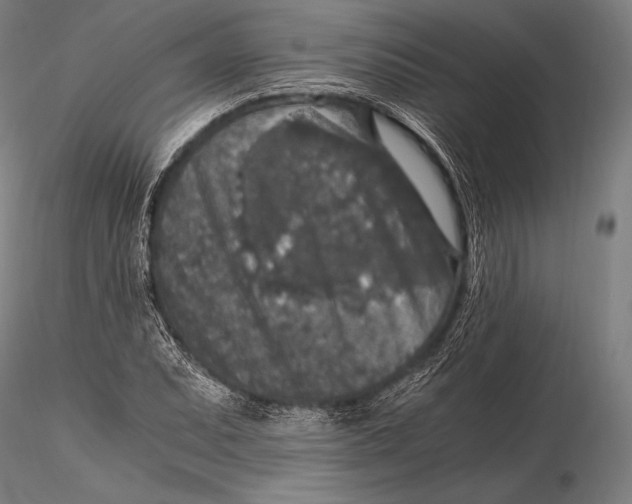 X0000115481071200912040947