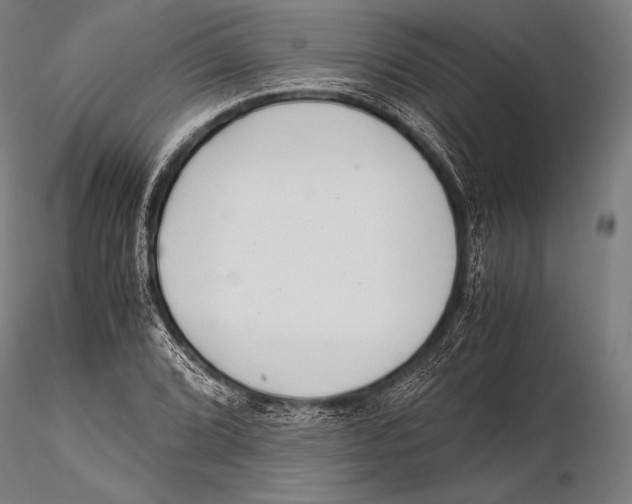 X0000115481072200912040947