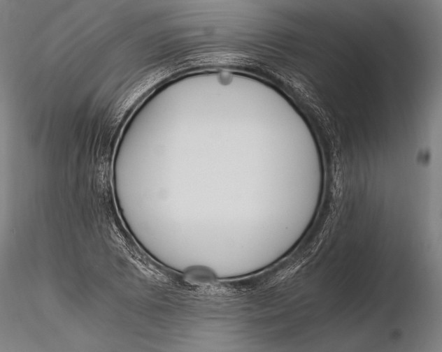 X0000115481073200912040947