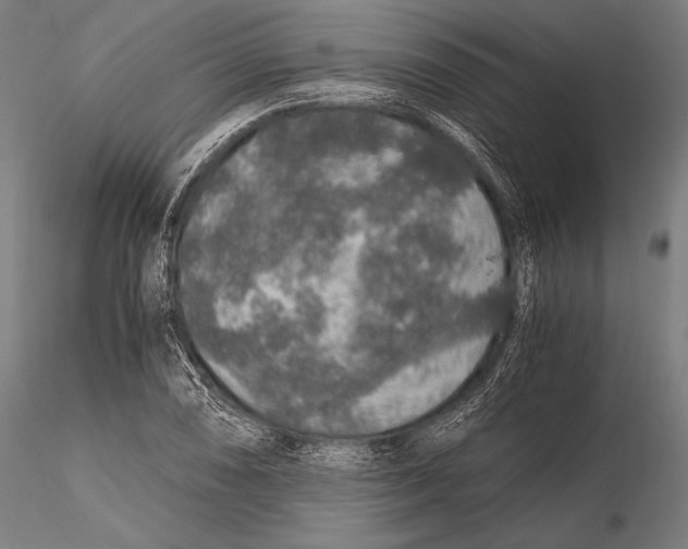 X0000115481074200912040947