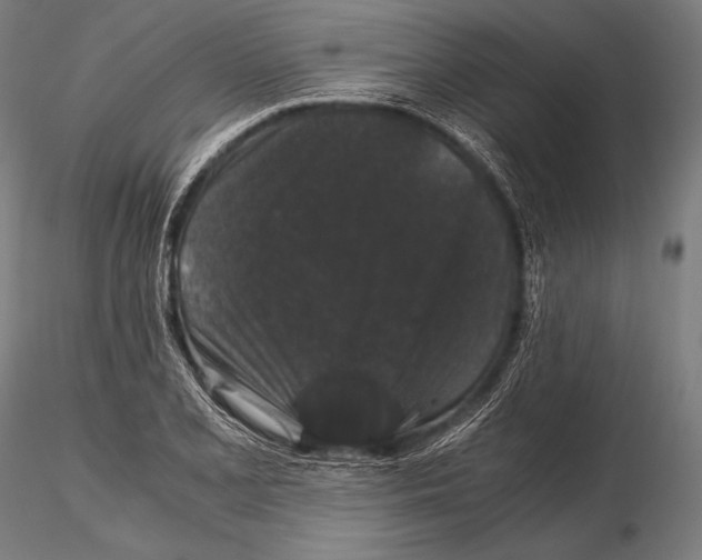 X0000115481077200912040947