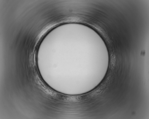 X0000115481078200912040947
