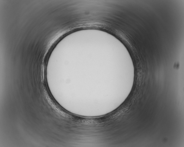 X0000115481079200912040947