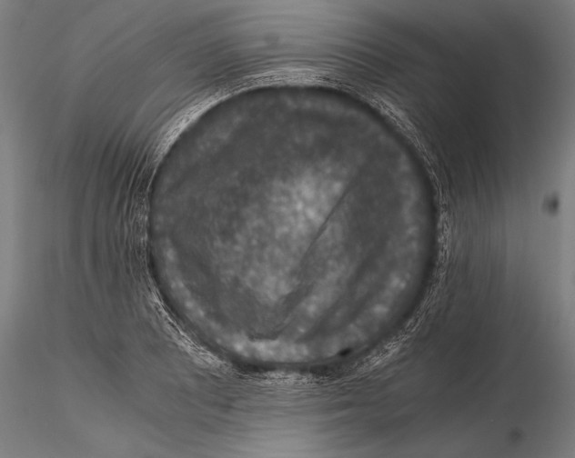 X0000115481081200912040947