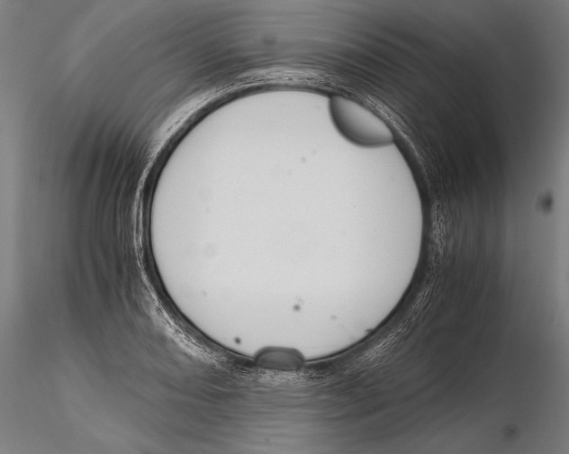 X0000115481082200912040947