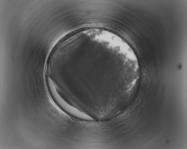 X0000115481084200912040947