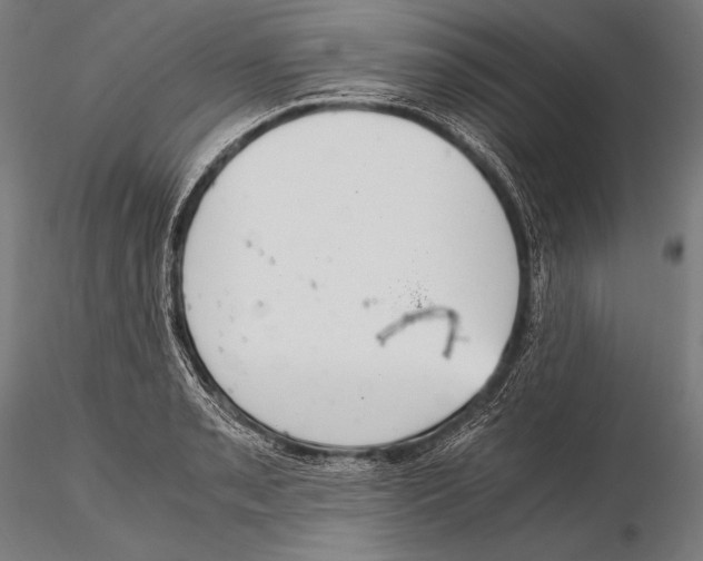 X0000115481085200912040947