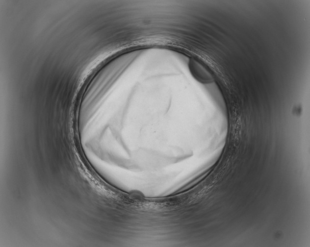 X0000115481086200912040947