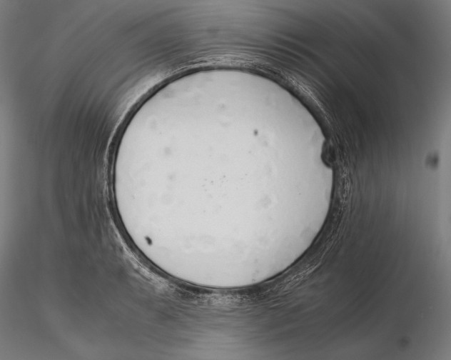 X0000115481087200912040947