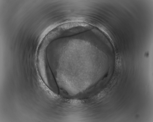 X0000115481088200912040946