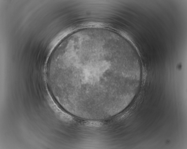 X0000115481090200912040946
