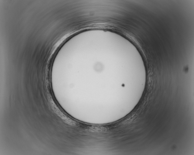 X0000115481091200912040946