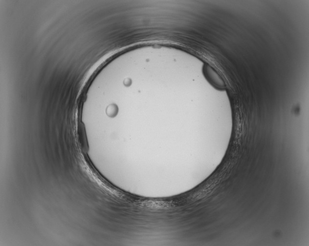 X0000115481092200912040946