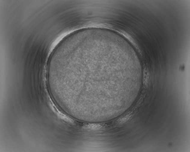 X0000115481094200912040946