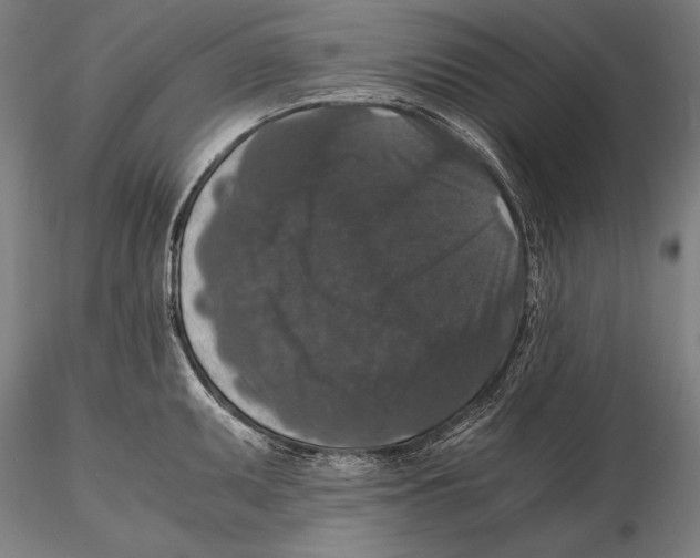 X0000115481095200912040946