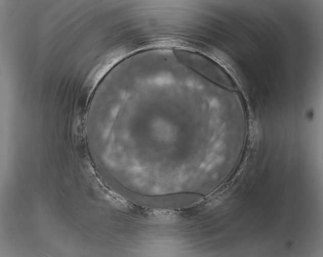 X0000115481097200912040946