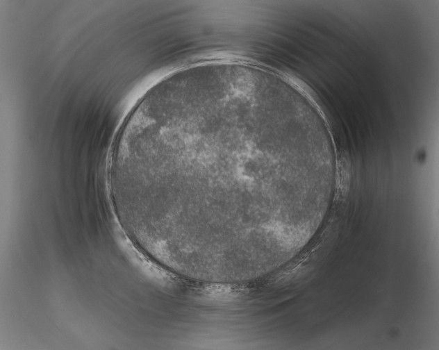 X0000115481098200912040946