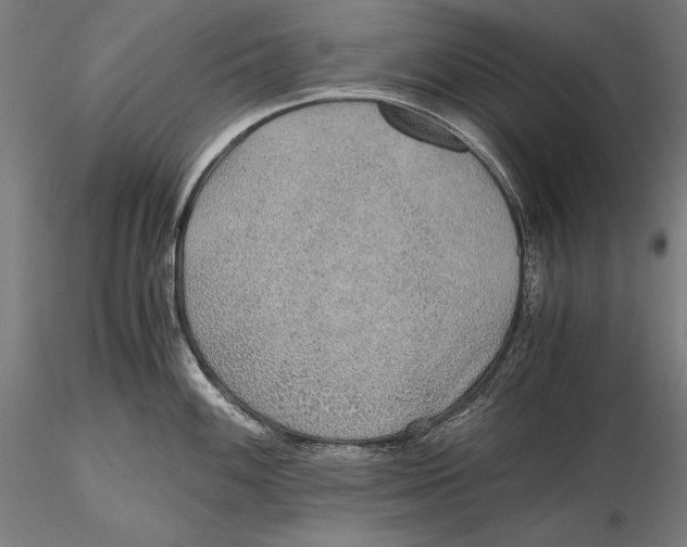 X0000115481100200912040946
