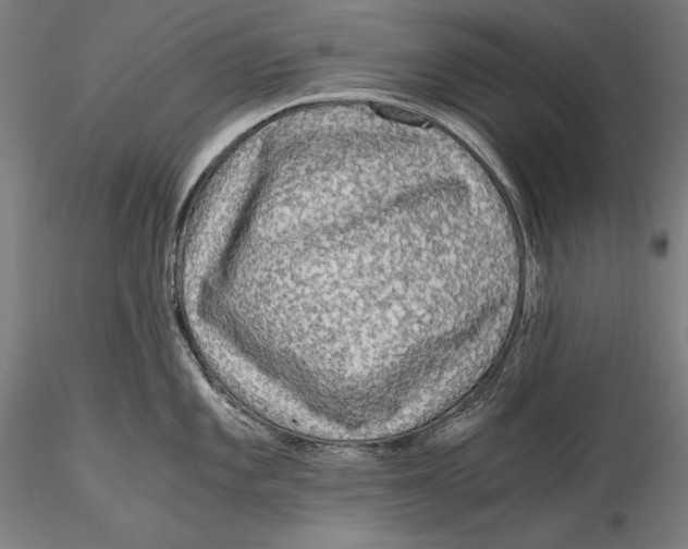 X0000115481101200912040946