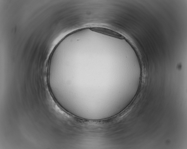 X0000115481102200912040946