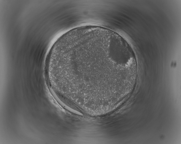 X0000115481104200912040946