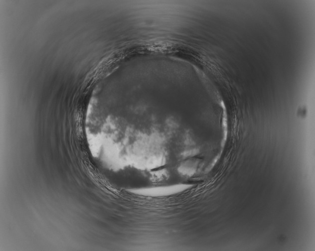X0000115481106200912040946