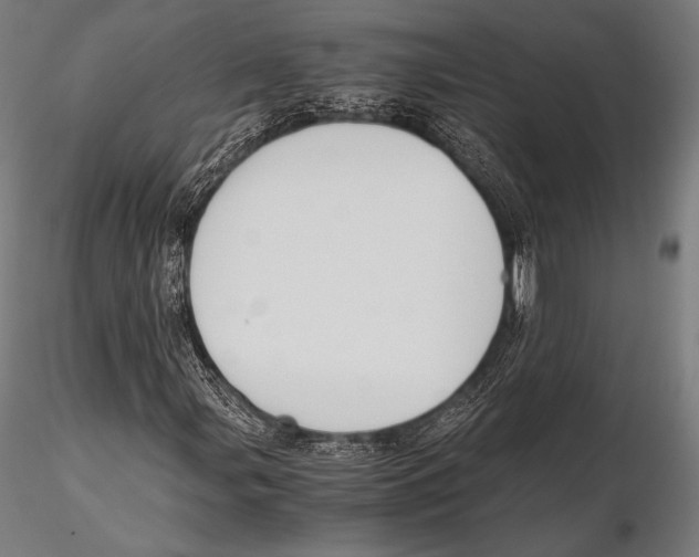 X0000115481107200912040946