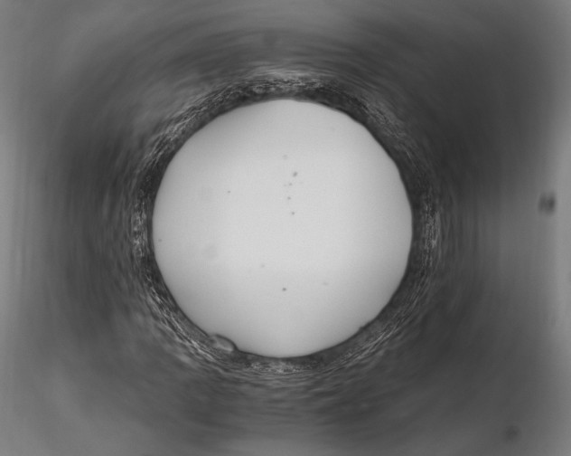 X0000115481109200912040946