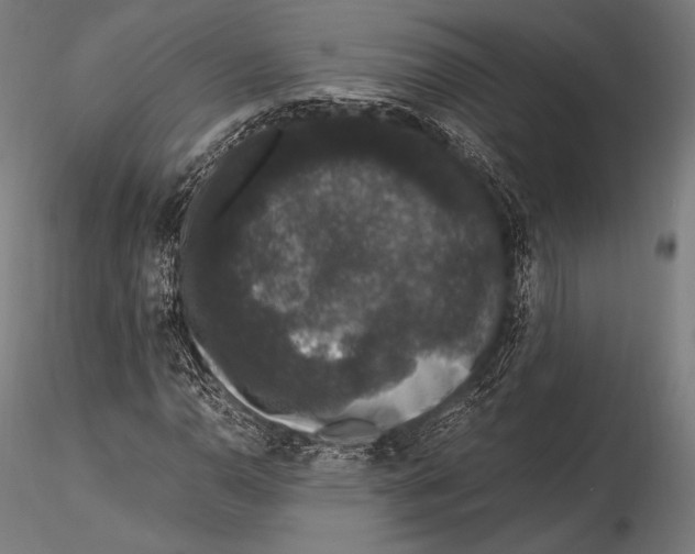 X0000115481110200912040946