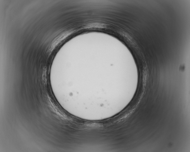 X0000115481113200912040946