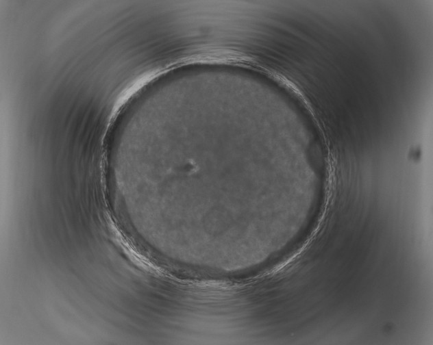 X0000115481114200912040946