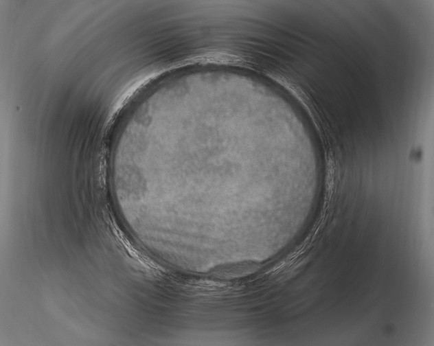 X0000115481115200912040946