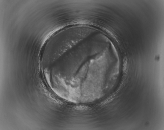 X0000115481117200912040946
