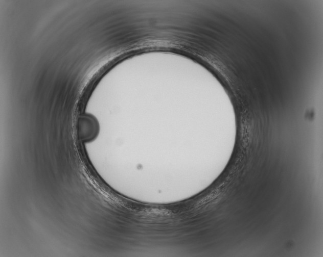 X0000115481119200912040946