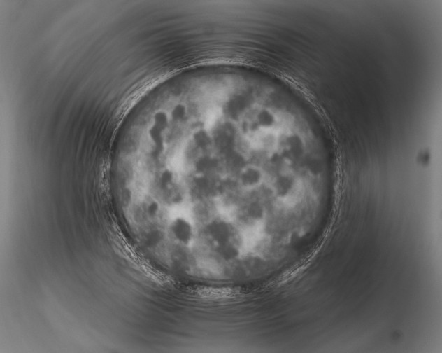 X0000115481121200912040946