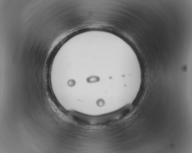 X0000115481122200912040946