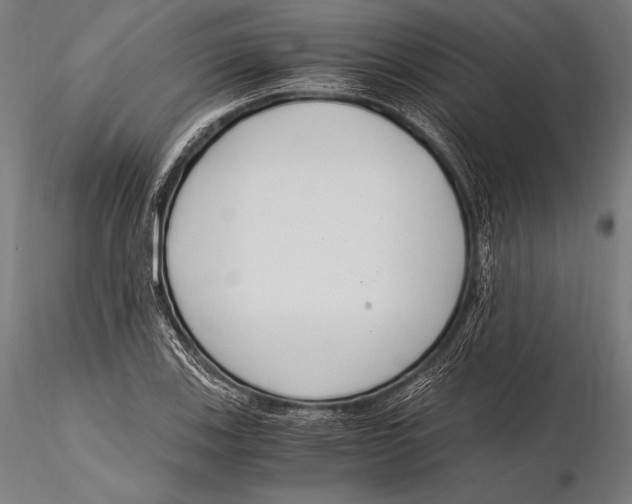 X0000115481123200912040946