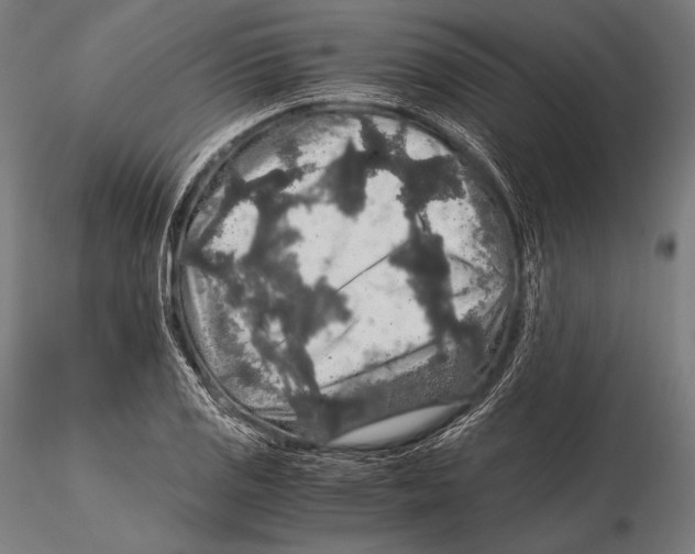 X0000115481125200912040946